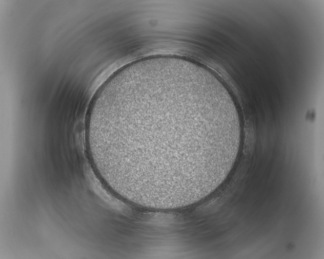X0000112490890200909281130
