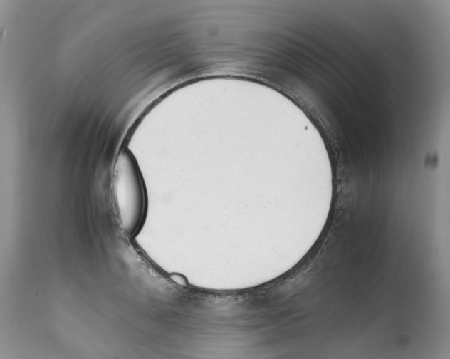 X0000112490892200909281130