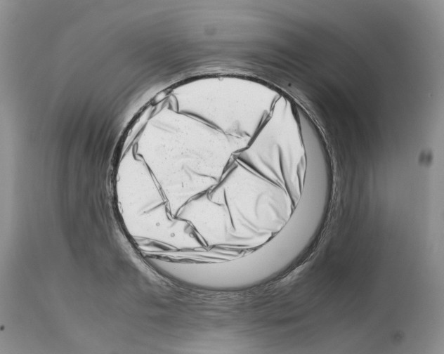 X0000112490893200909281130