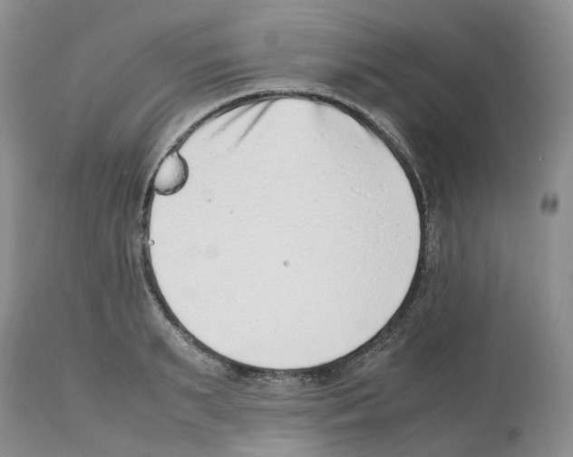X0000112490895200909281130