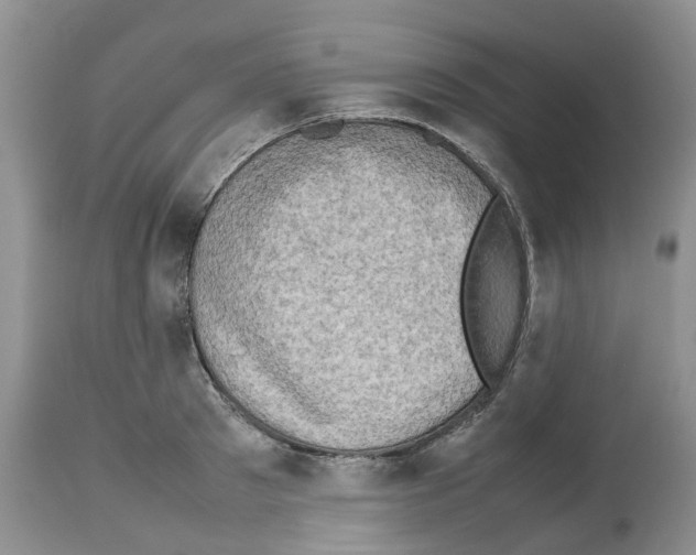X0000112490897200909281130