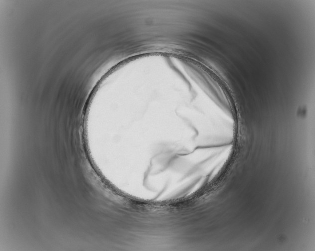 X0000112490899200909281130
