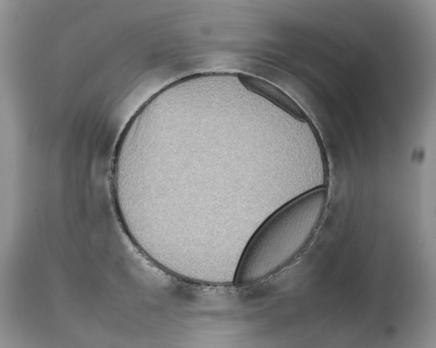 X0000112490901200909281130