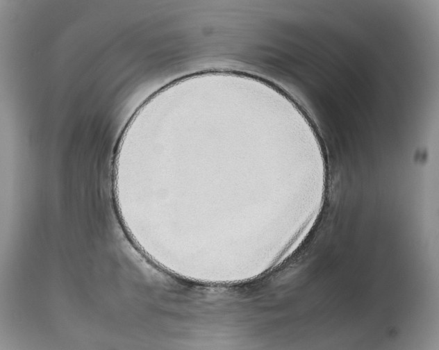 X0000112490903200909281130