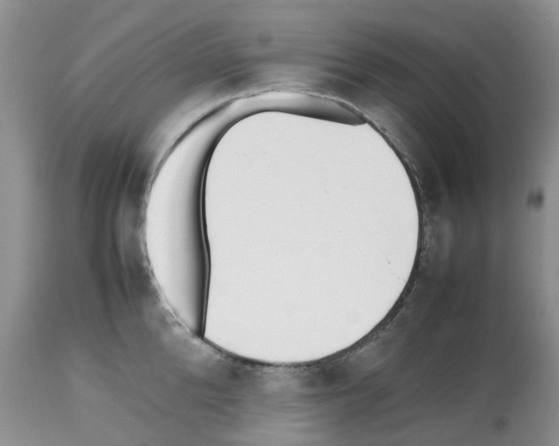 X0000112490904200909281130