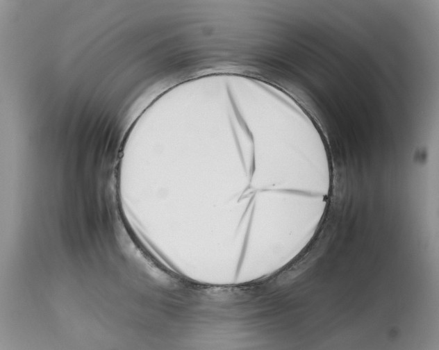 X0000112490906200909281130
