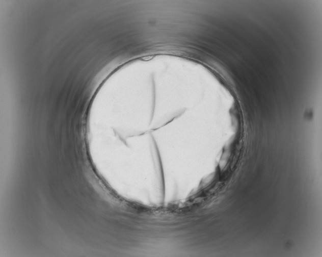 X0000112490907200909281130
