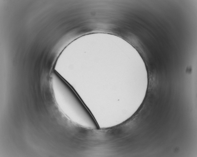 X0000112490908200909281130