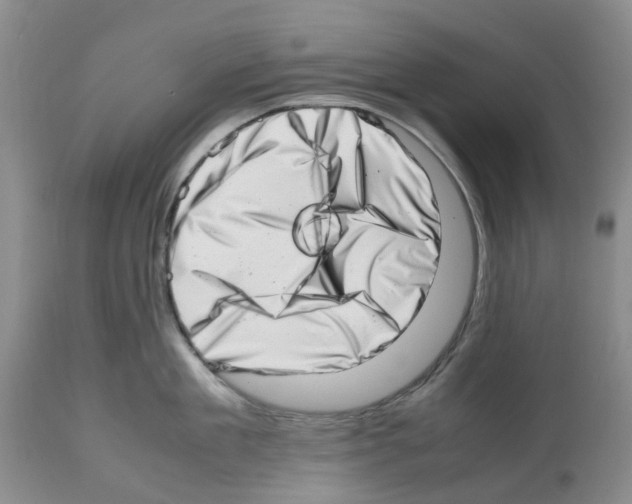 X0000112490909200909281130
