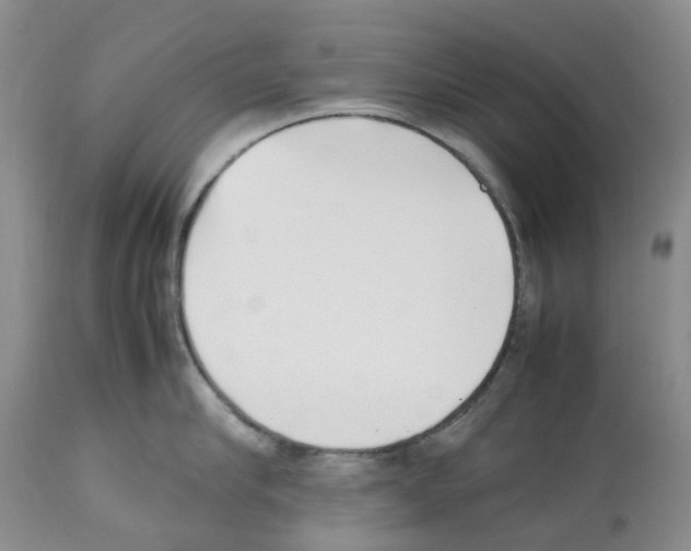 X0000112490910200909281130
