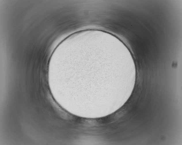 X0000112490911200909281130