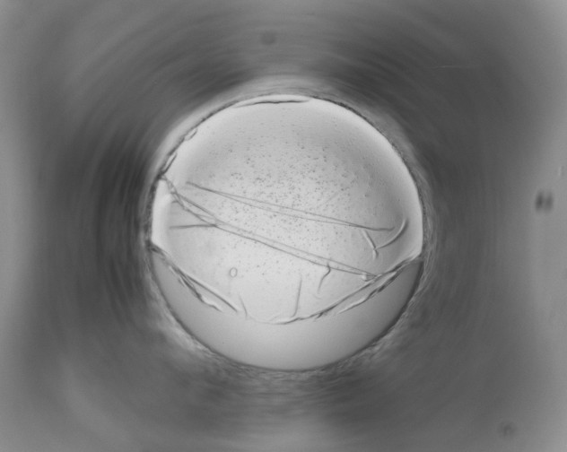 X0000112490912200909281130