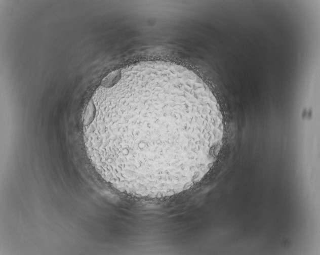 X0000112490913200909281129