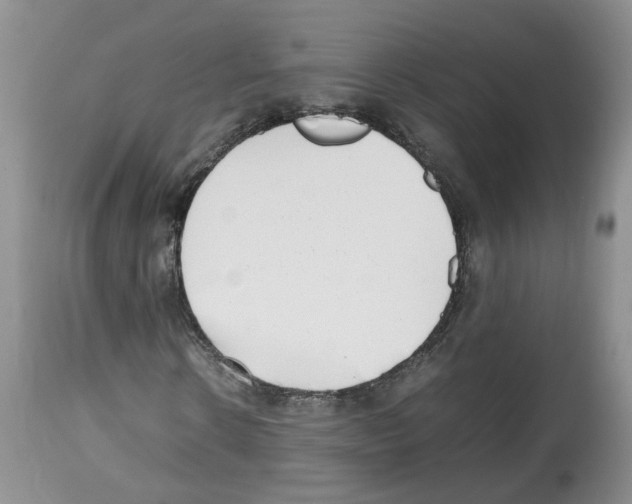 X0000112490914200909281129