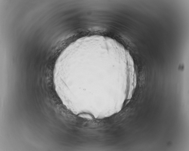 X0000112490917200909281129