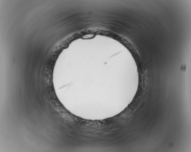 X0000112490919200909281129