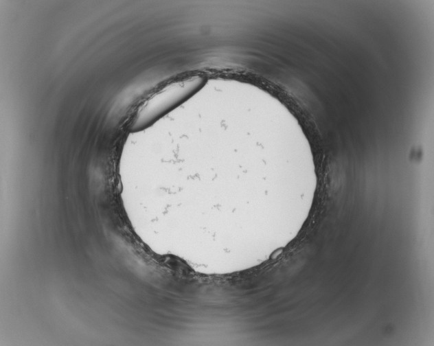 X0000112490920200909281129