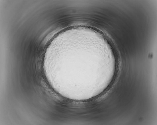 X0000112490921200909281129