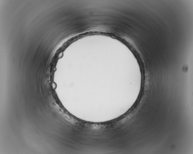 X0000112490923200909281129