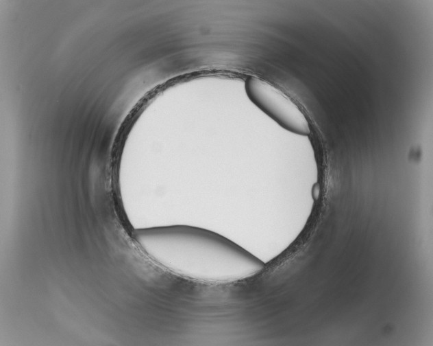 X0000112490924200909281129