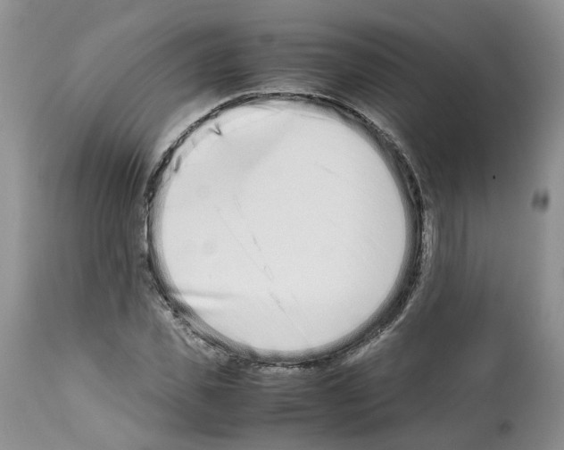 X0000112490925200909281129