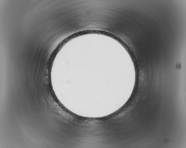 X0000112490926200909281129