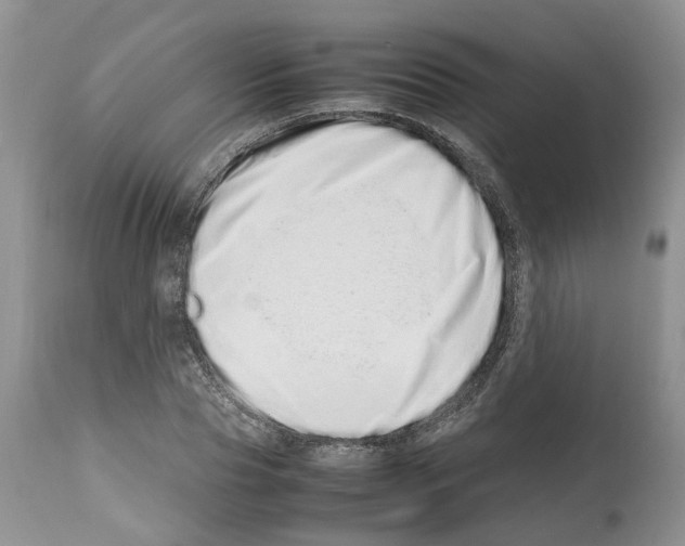 X0000112490929200909281129