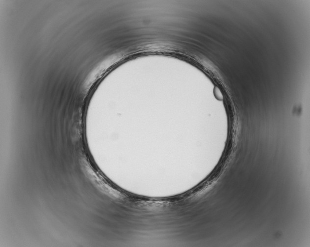 X0000112490930200909281129