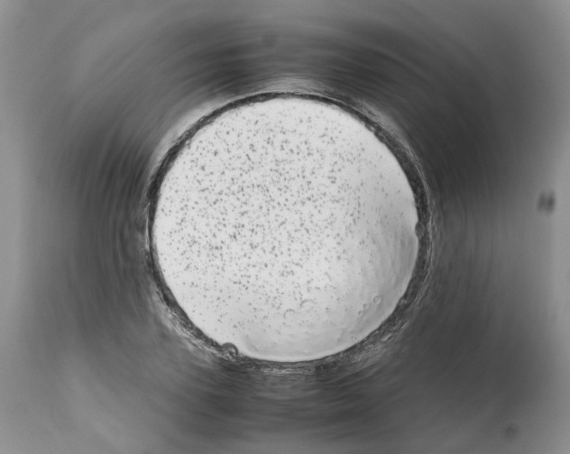 X0000112490931200909281129