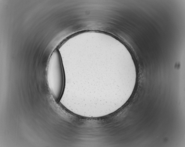 X0000112490932200909281129