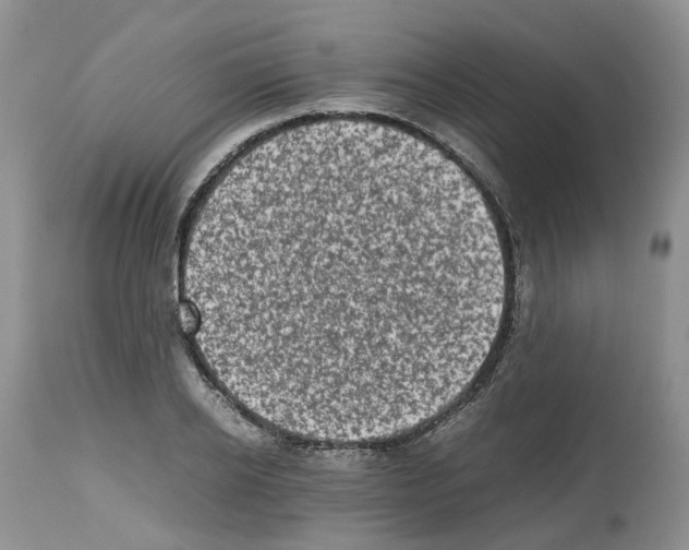 X0000112490934200909281129