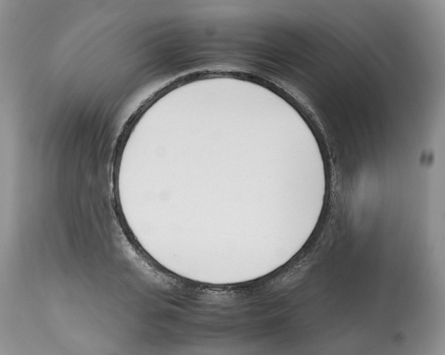 X0000112490935200909281129
