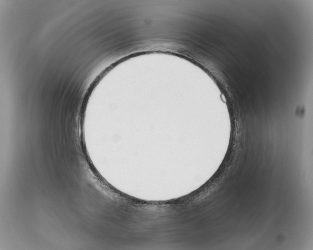 X0000112490936200909281129