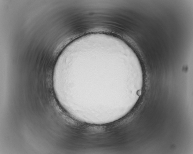 X0000112490937200909281129