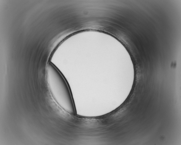 X0000112490940200909281129