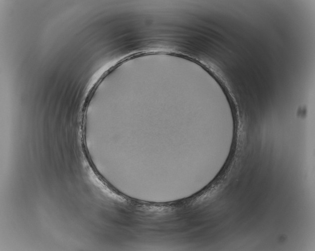 X0000112490941200909281129