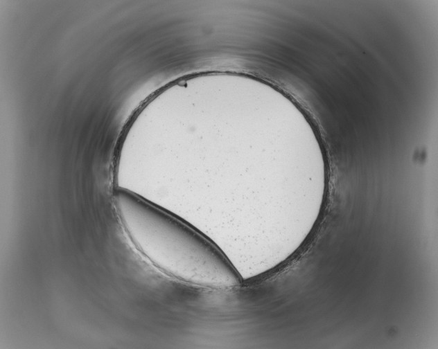 X0000112490944200909281129