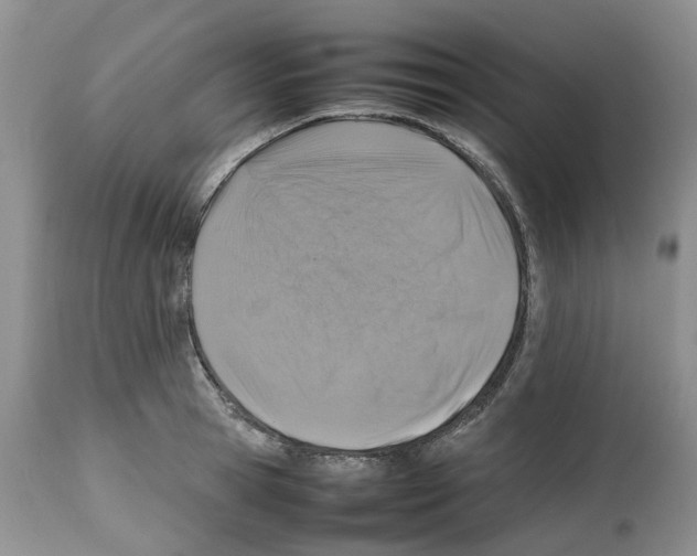 X0000112490945200909281129