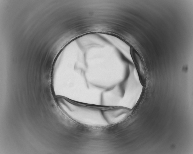 X0000112490946200909281129