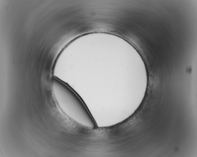 X0000112490948200909281129