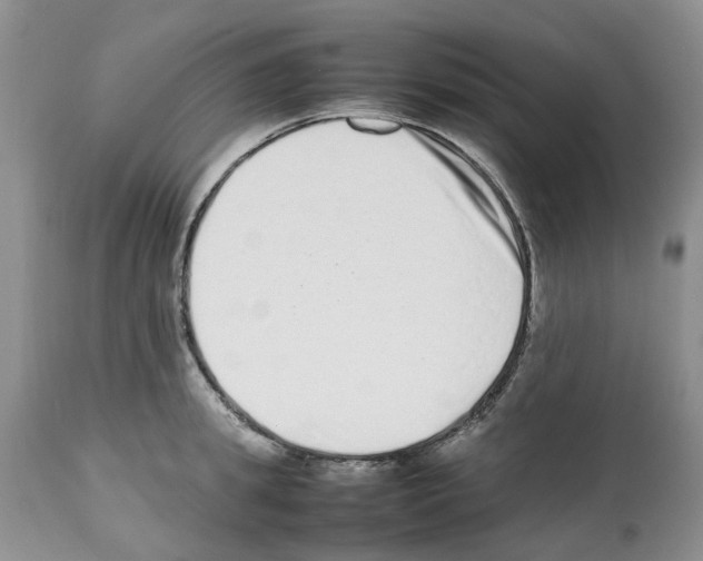 X0000112490949200909281129