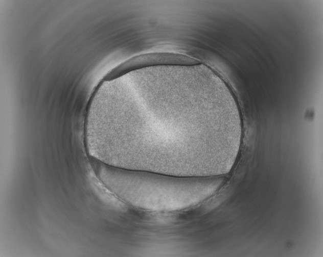 X0000112490952200909281129