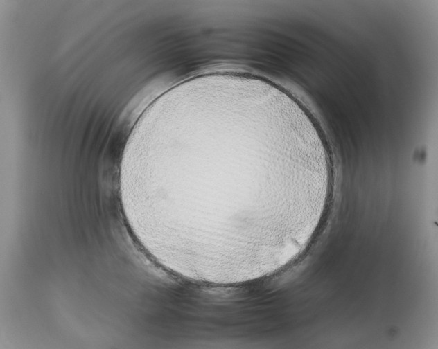 X0000112490953200909281129
