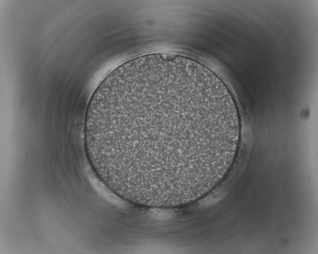 X0000112490954200909281129