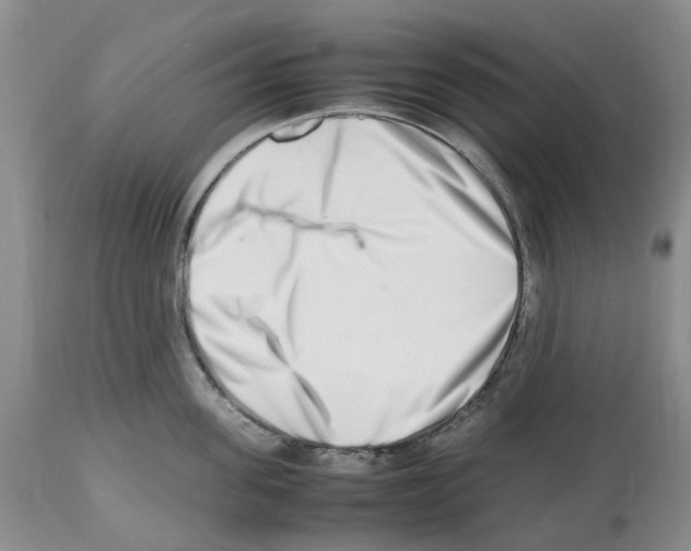 X0000112490955200909281130