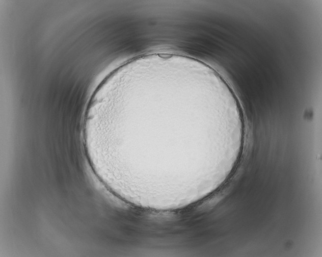 X0000112490957200909281130
