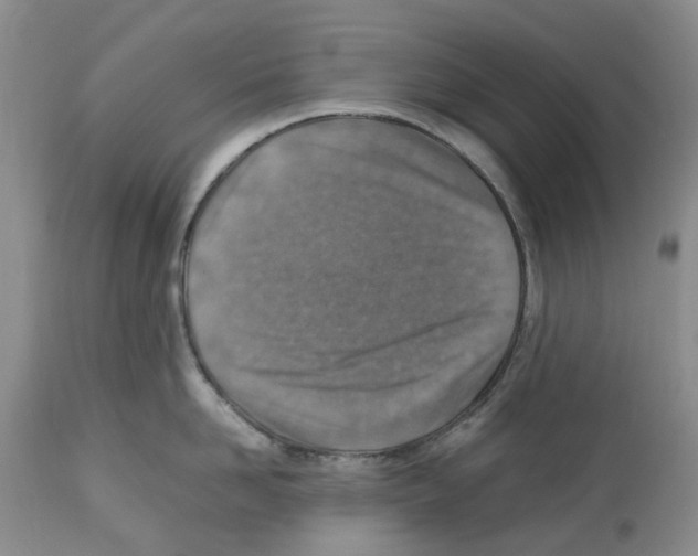 X0000112490958200909281130
