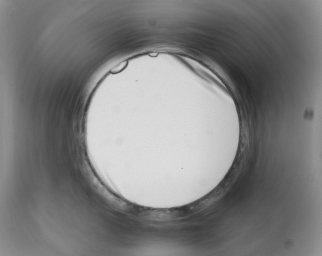 X0000112490959200909281130
