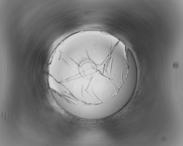X0000112490960200909281130