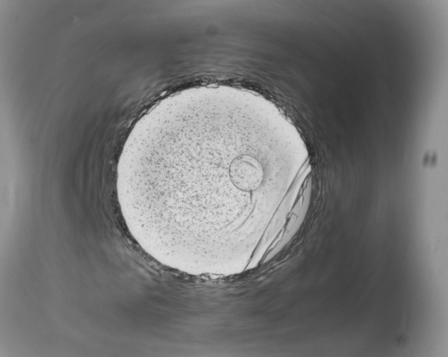X0000112490961200909281129